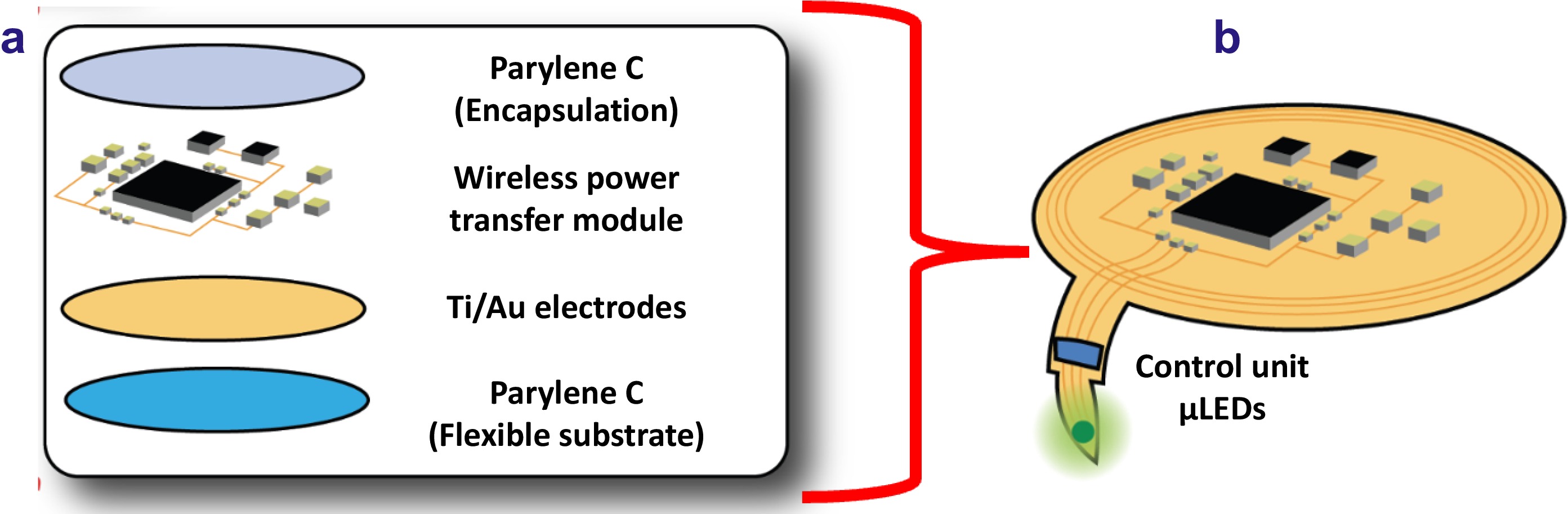 Opto-Electronic Advances_4