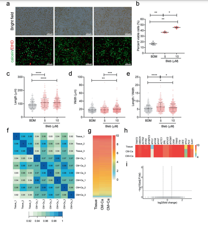 Signal Transduction and Targeted Therapy_4