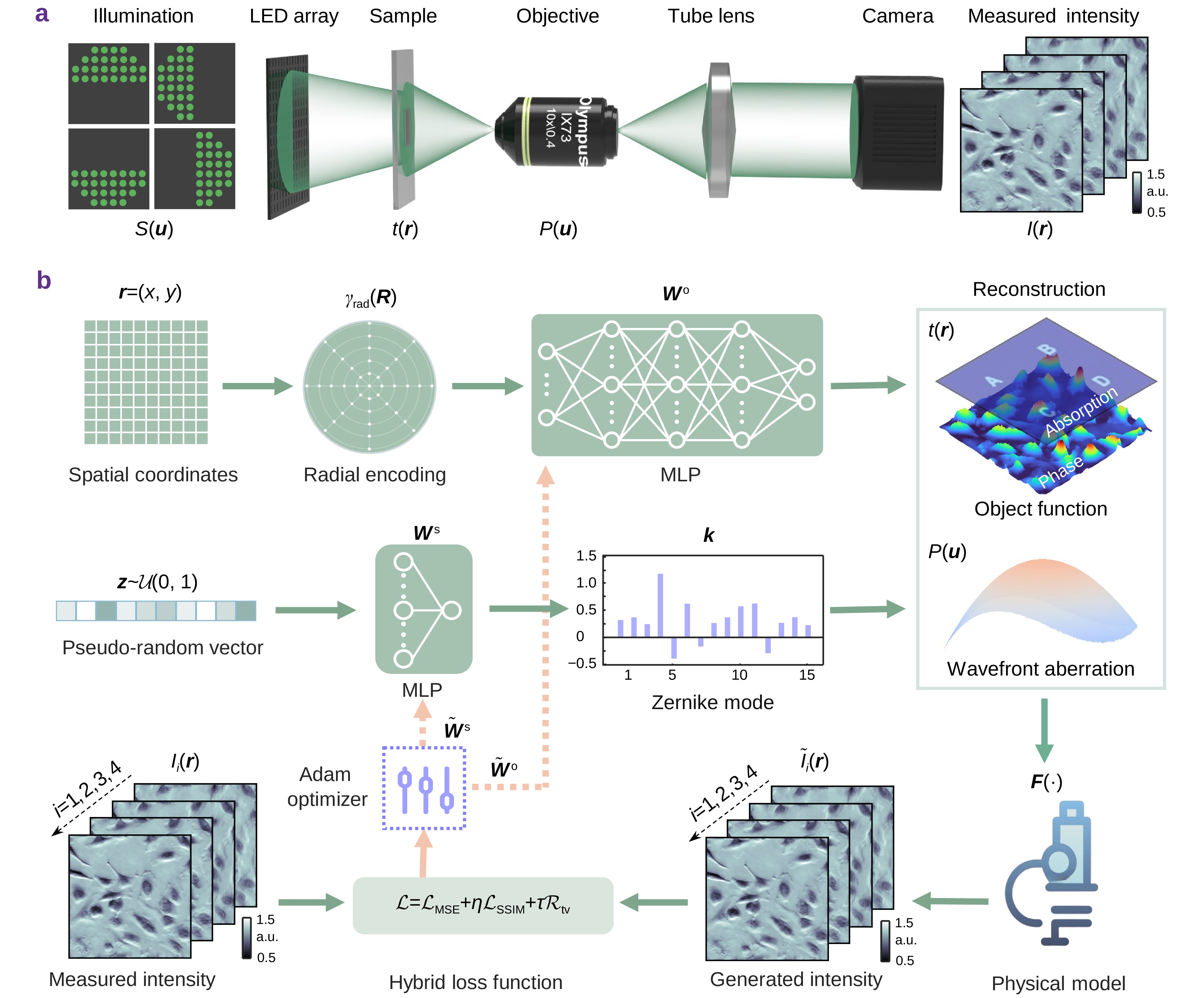 Opto-Electronic Science_4