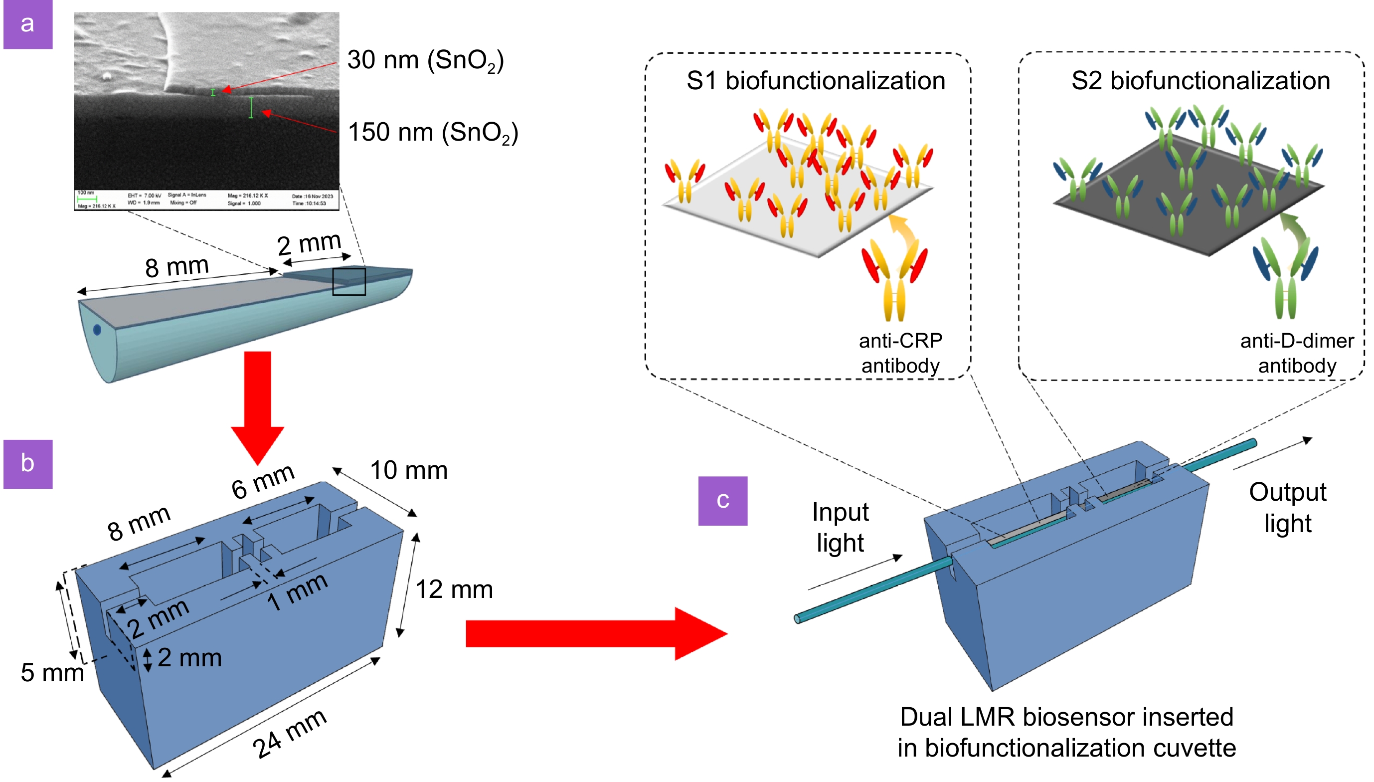 Opto-Electronic Science_4