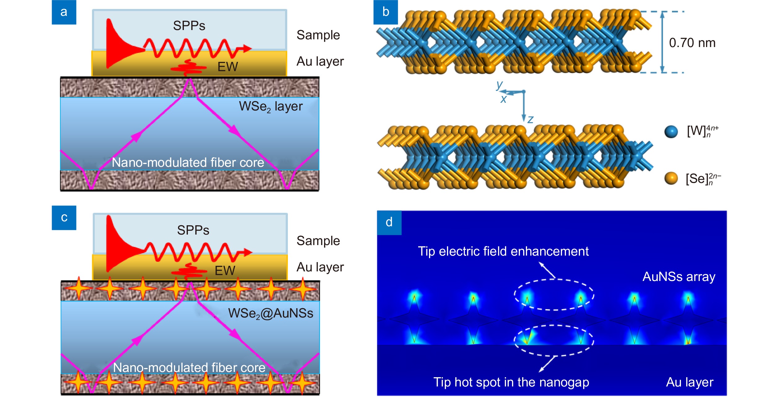 Opto-Electronic Advances_4