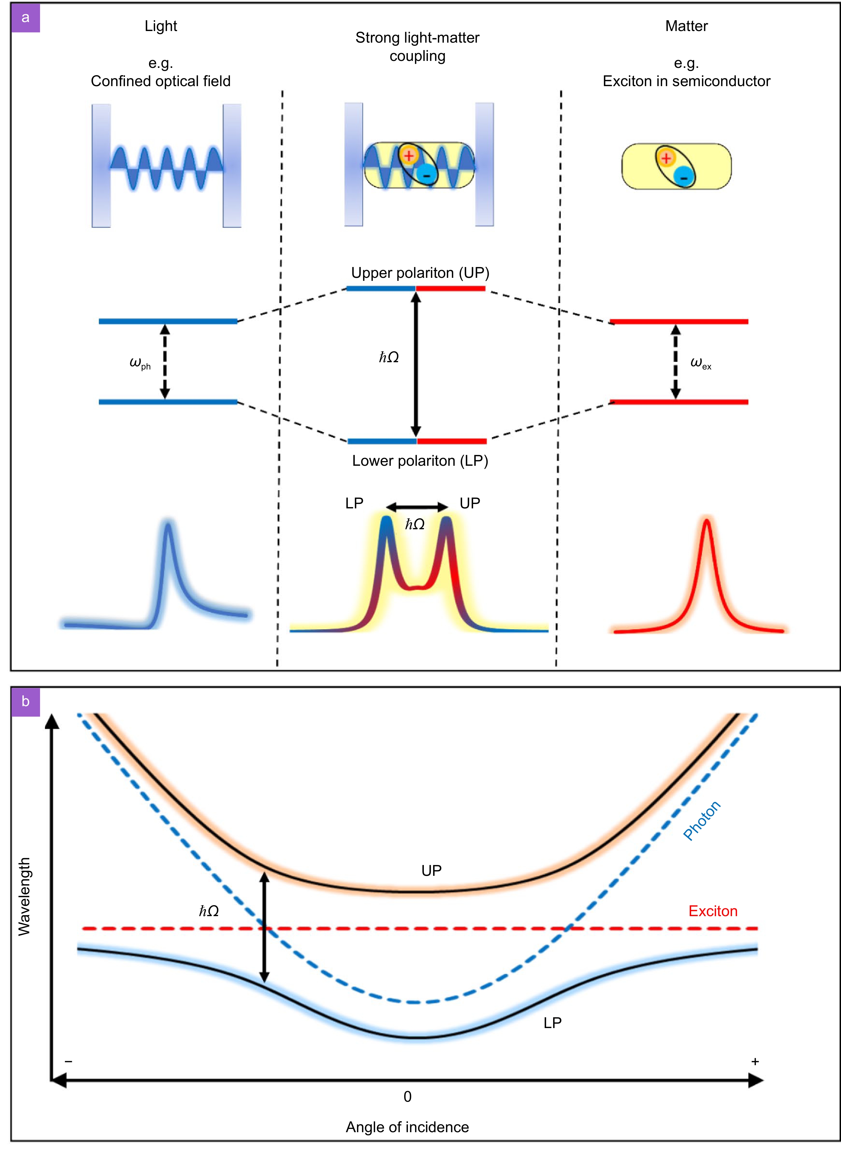 Opto-Electronic Science_3