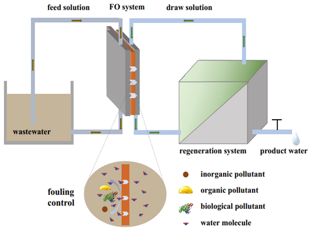 Frontiers of Chemical Science and Engineering_3