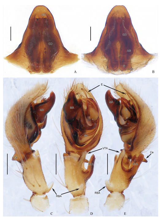 Zoological Systematics_5