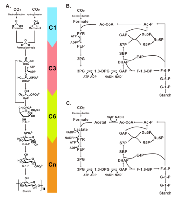 Science_3