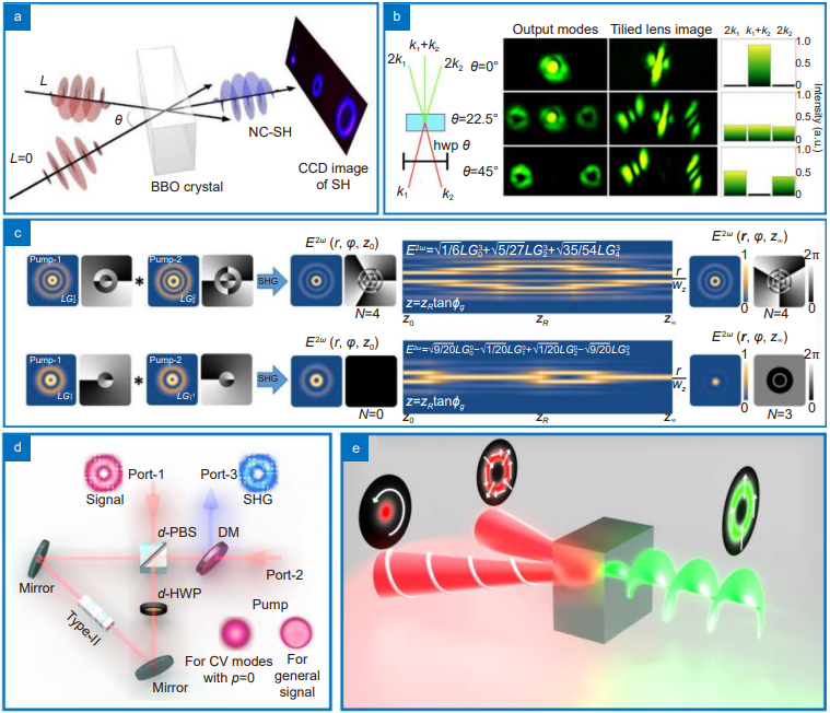 Opto-Electronic Advances_3