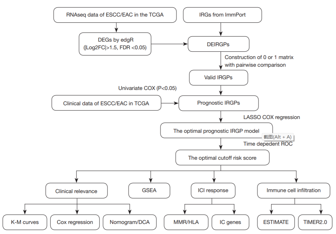 Annals of Translational Medicine_5