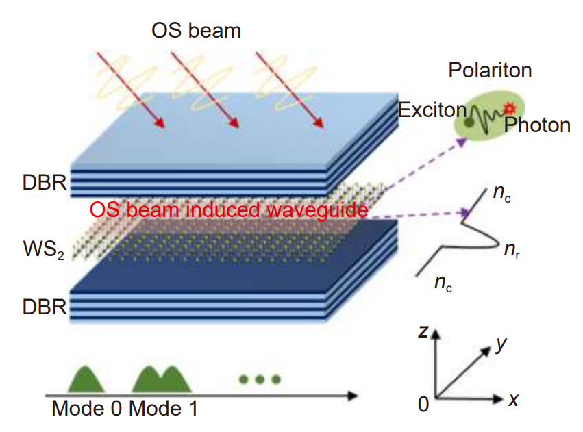 Opto-Electronic Advances_3