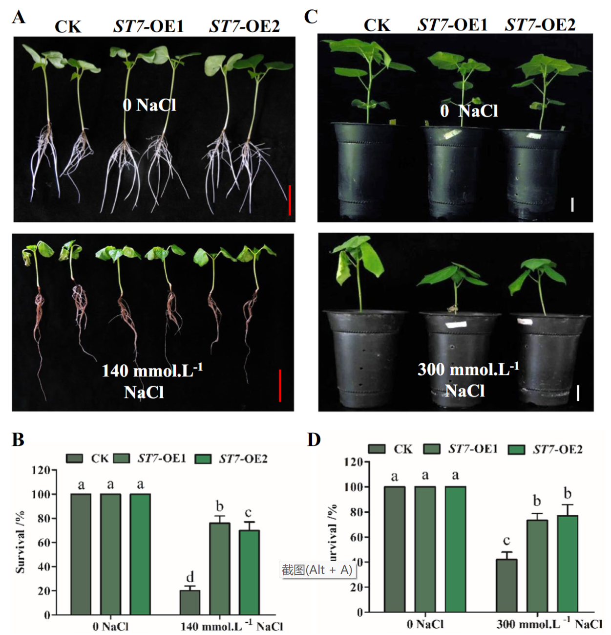 Journal of Cotton Research_4