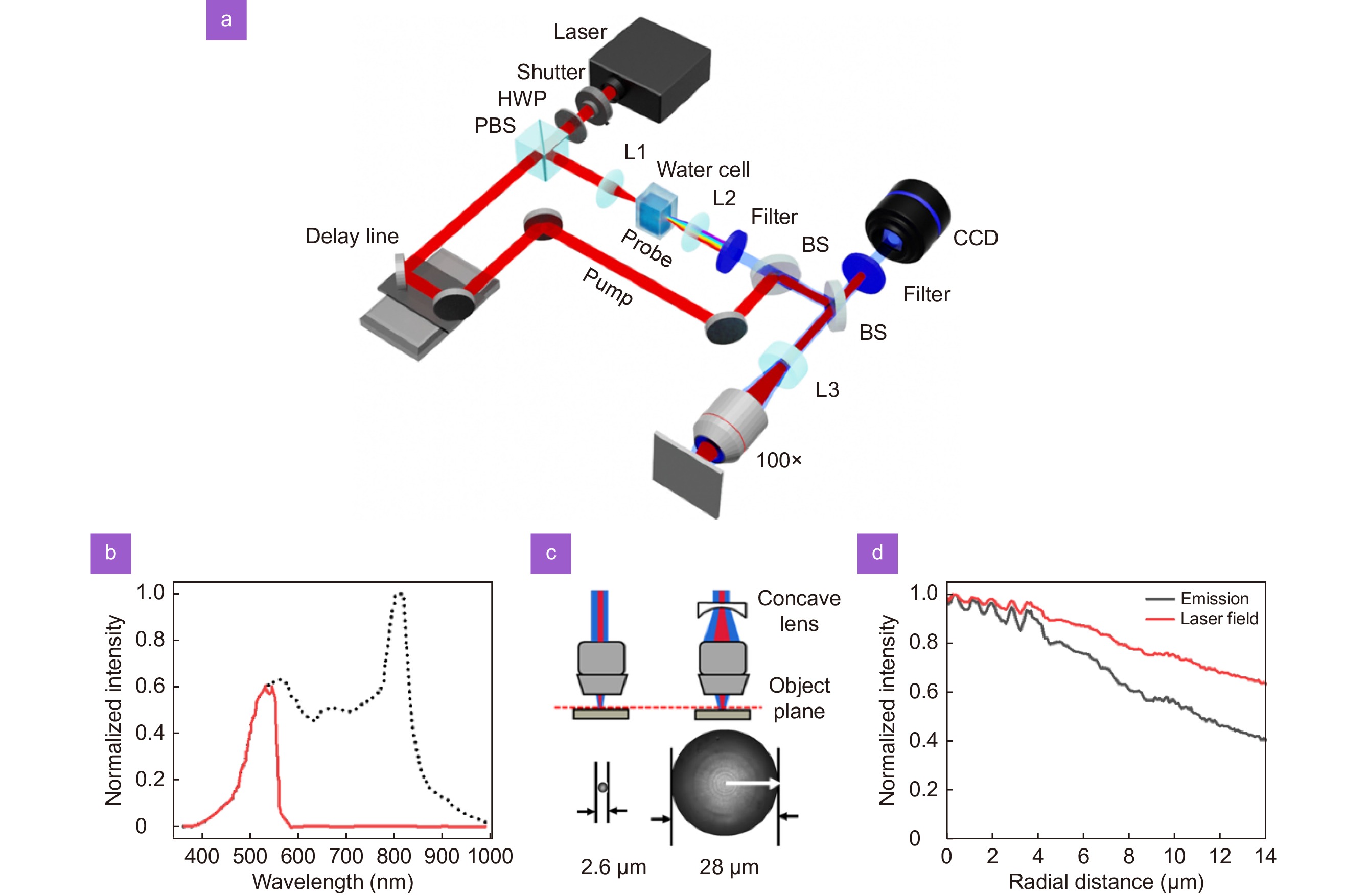 Opto-Electronic Science_4