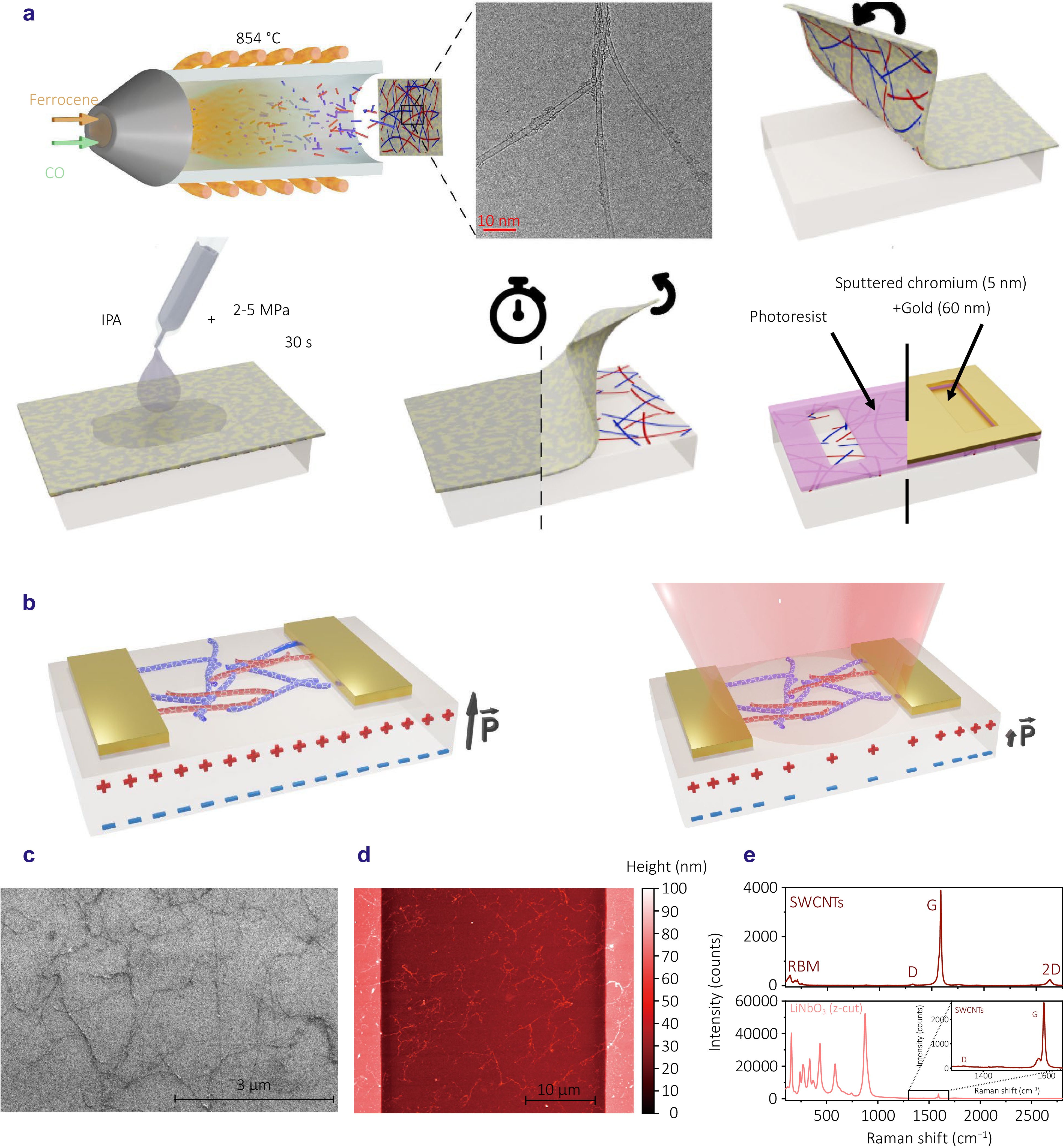 Opto-Electronic Advances_3