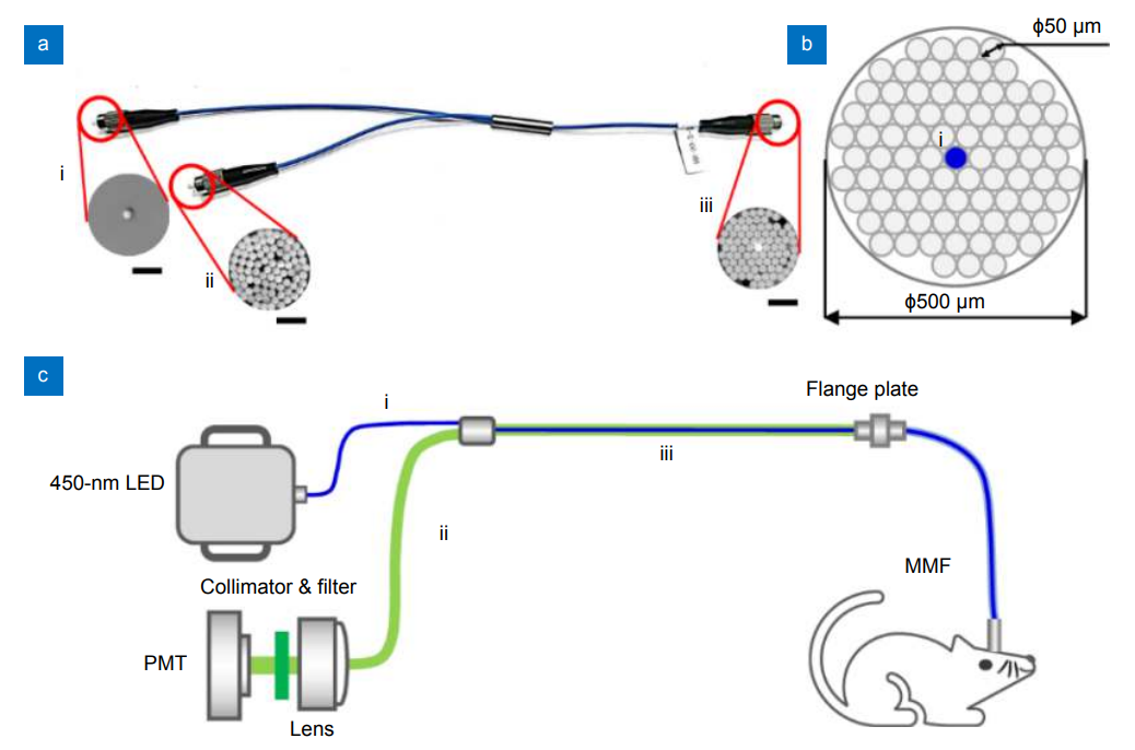 Opto-Electronic Advances_4