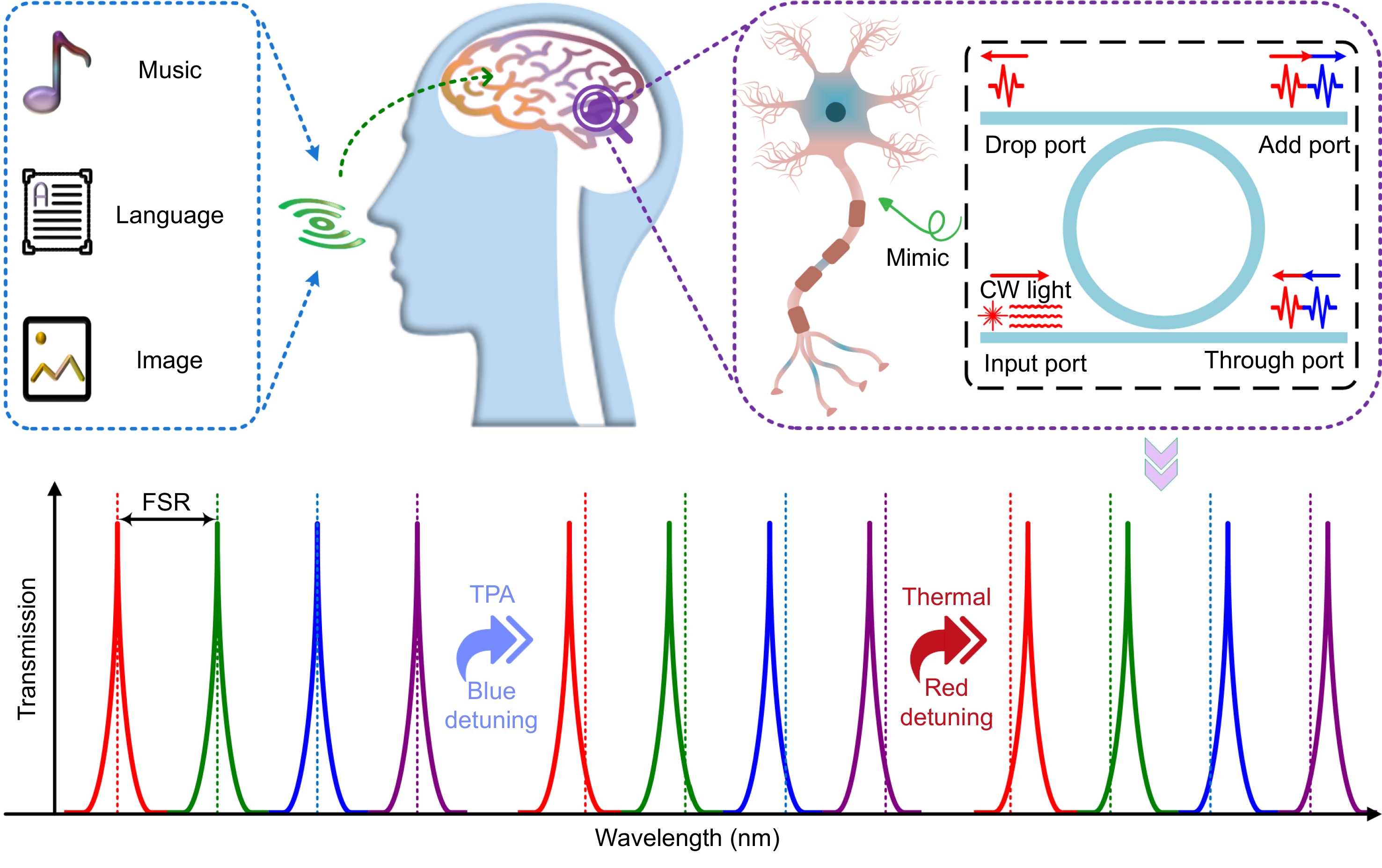 Opto-Electronic Science_4