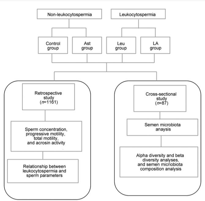 Asian Journal of Andrology_4