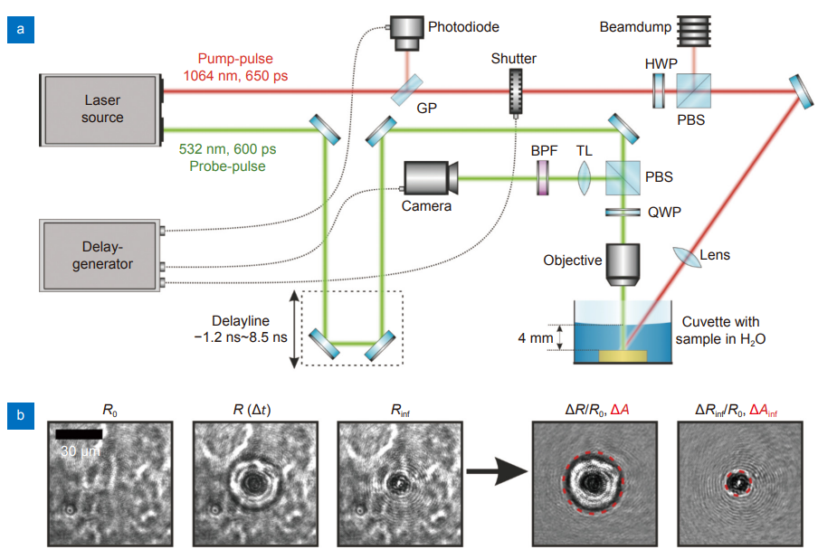 Opto-Electronic Advances_4