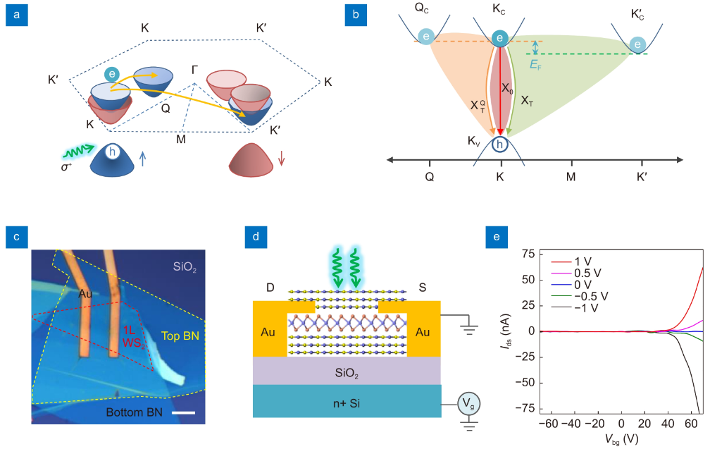 Opto-Electronic Advances_4