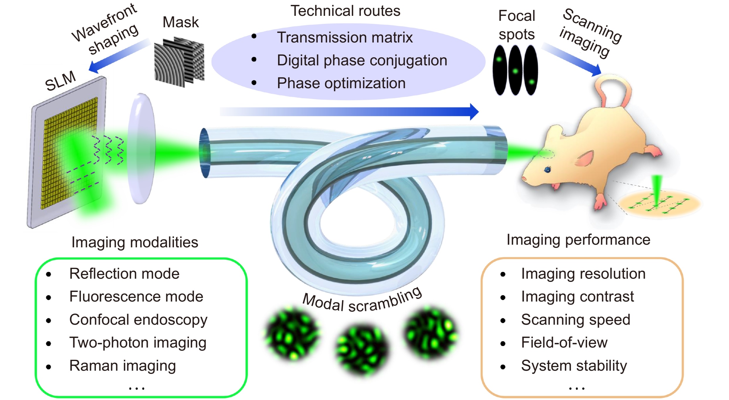 Opto-Electronic Science_4