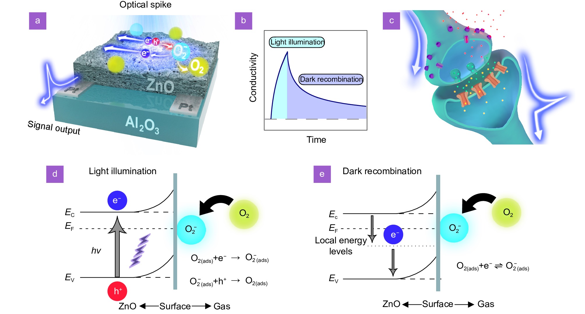 Opto-Electronic Science_3