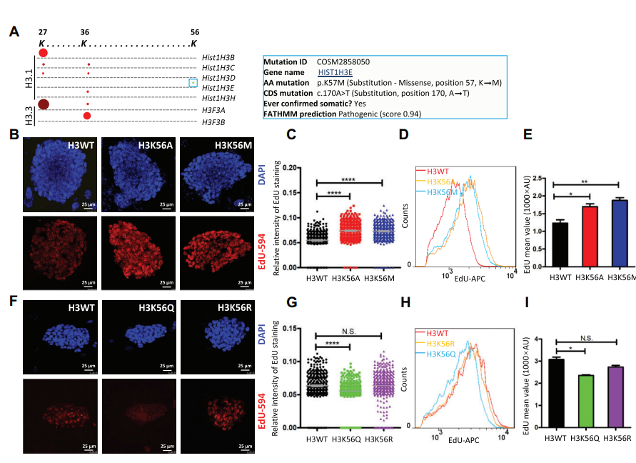 Journal of Molecular Cell Biology_4