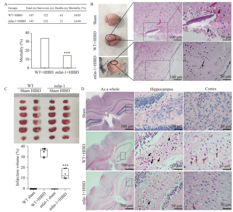 The Journal of Biomedical Research_3