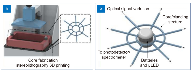 Opto-Electronic Advances_3