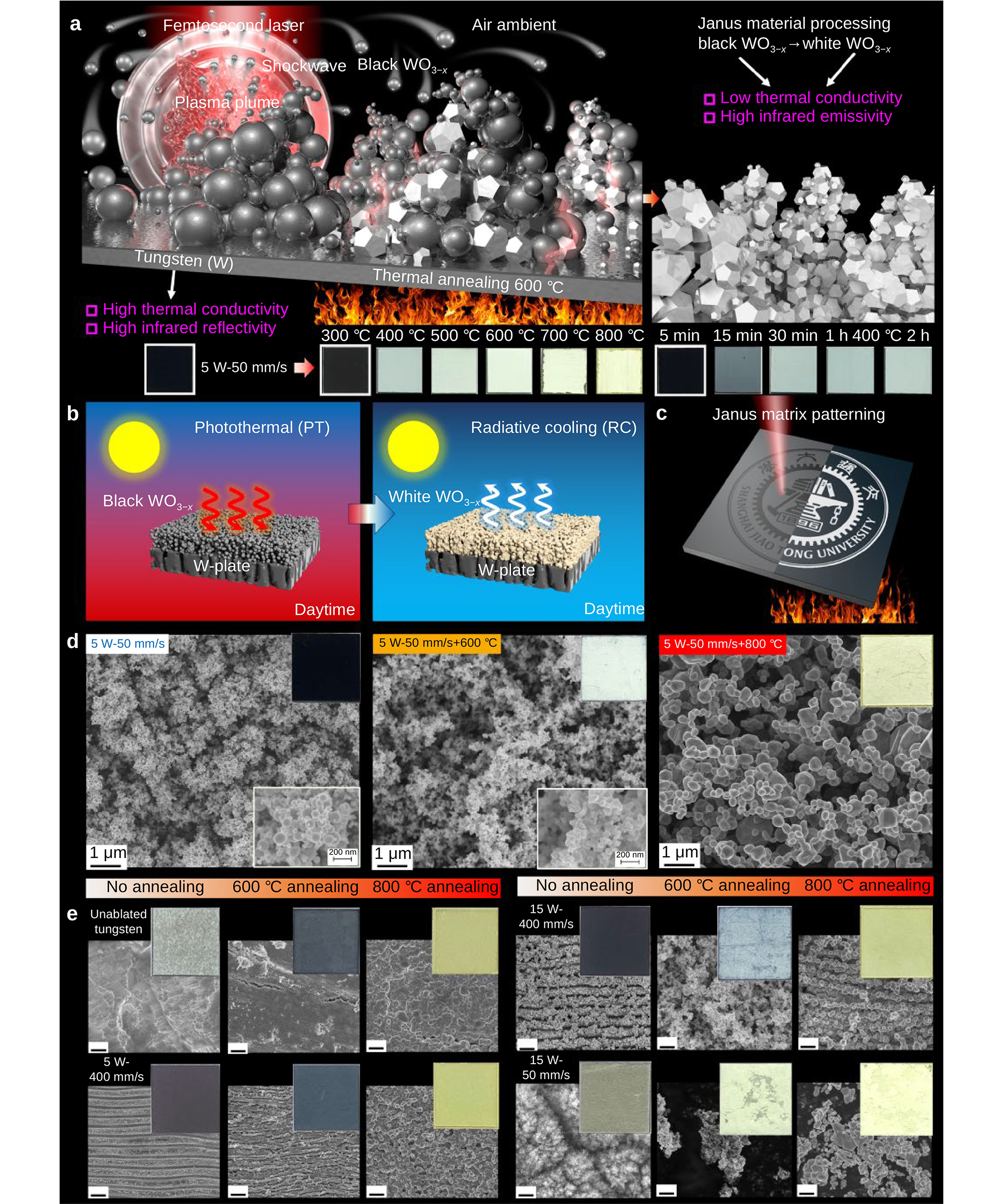 Opto-Electronic Science_4