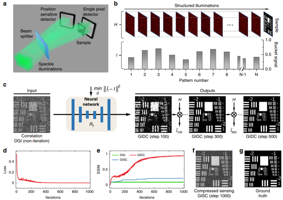 Light: Science & Applications_3