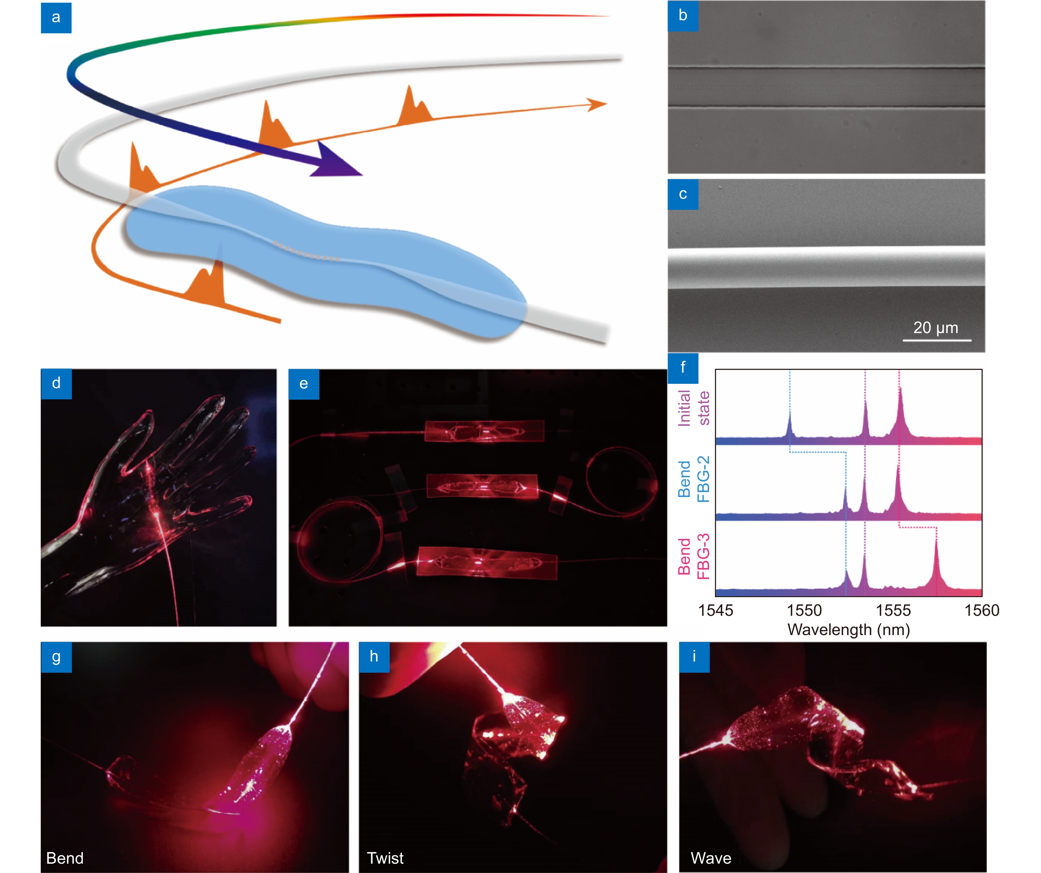 Opto-Electronic Advances_4