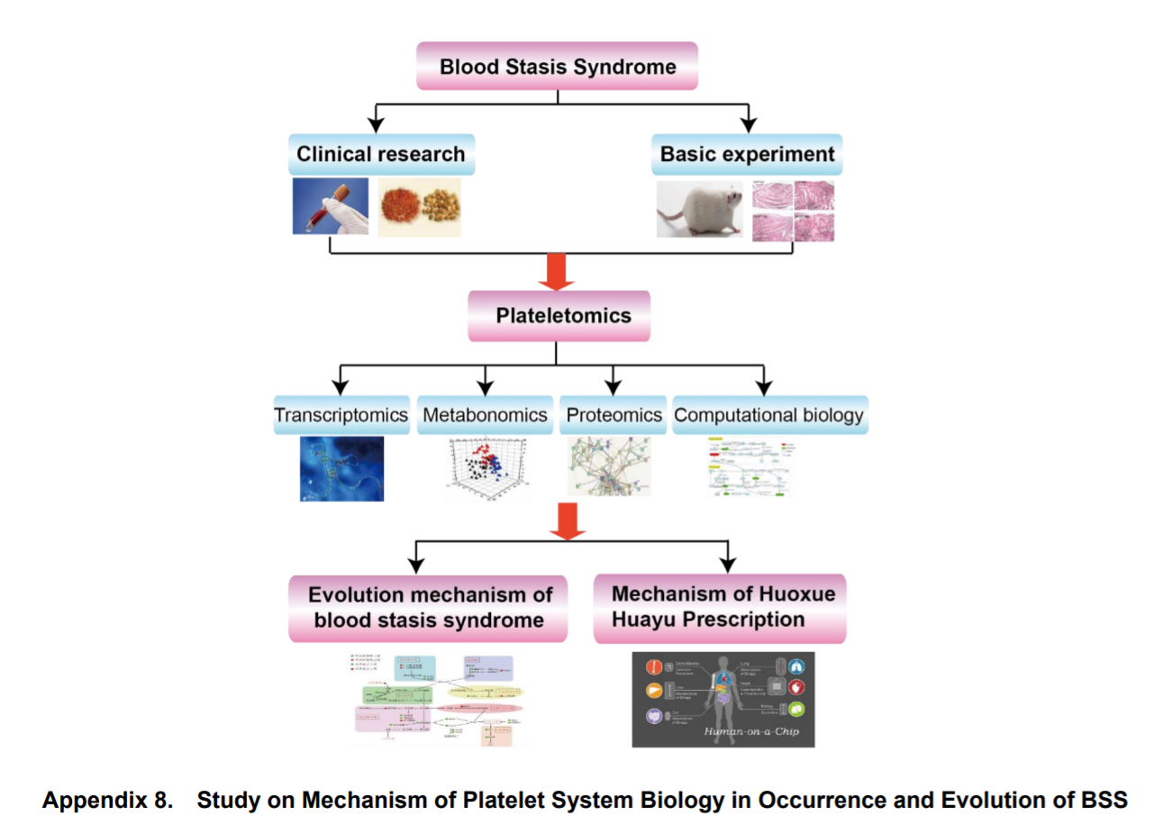 Chinese Journal of Integrative Medicine_4