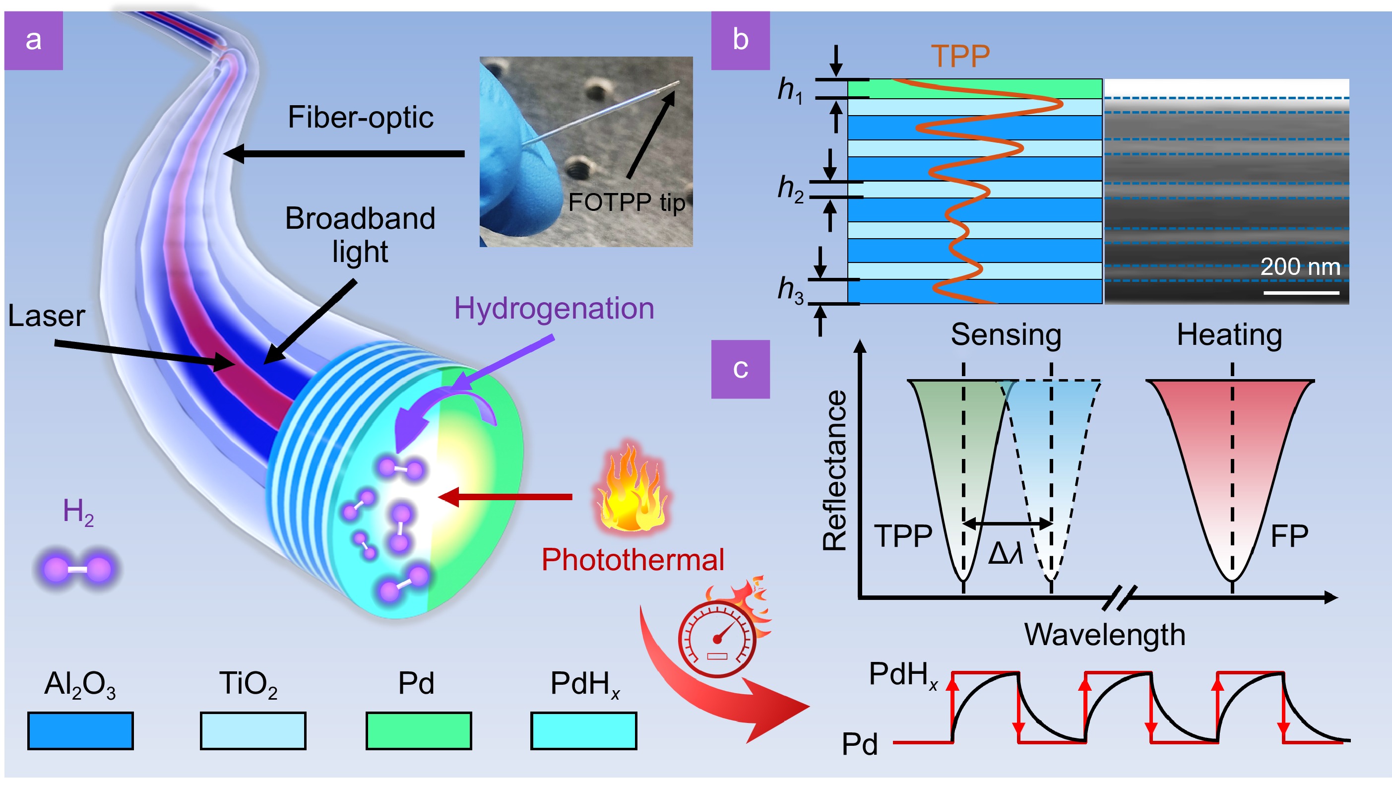 Opto-Electronic Science_4