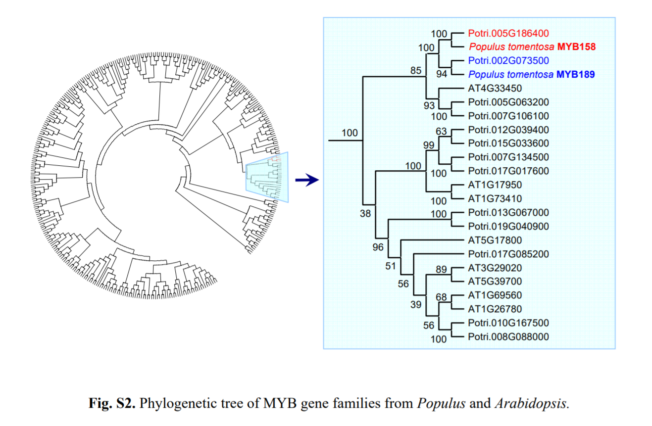 Journal of Systematics and Evolution_4