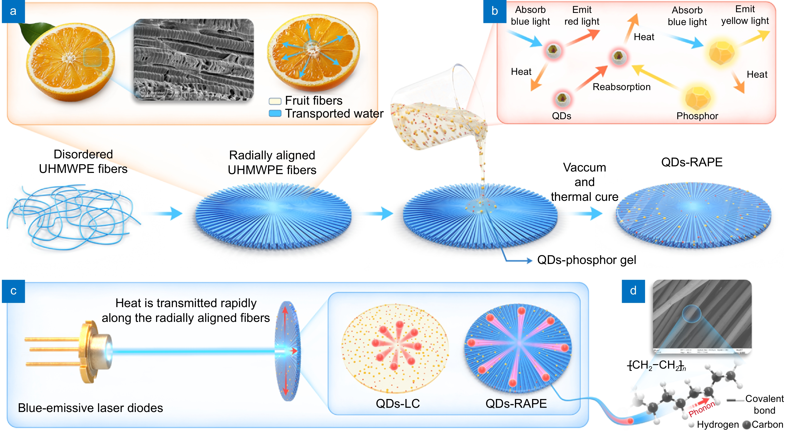 Opto-Electronic Advances_4