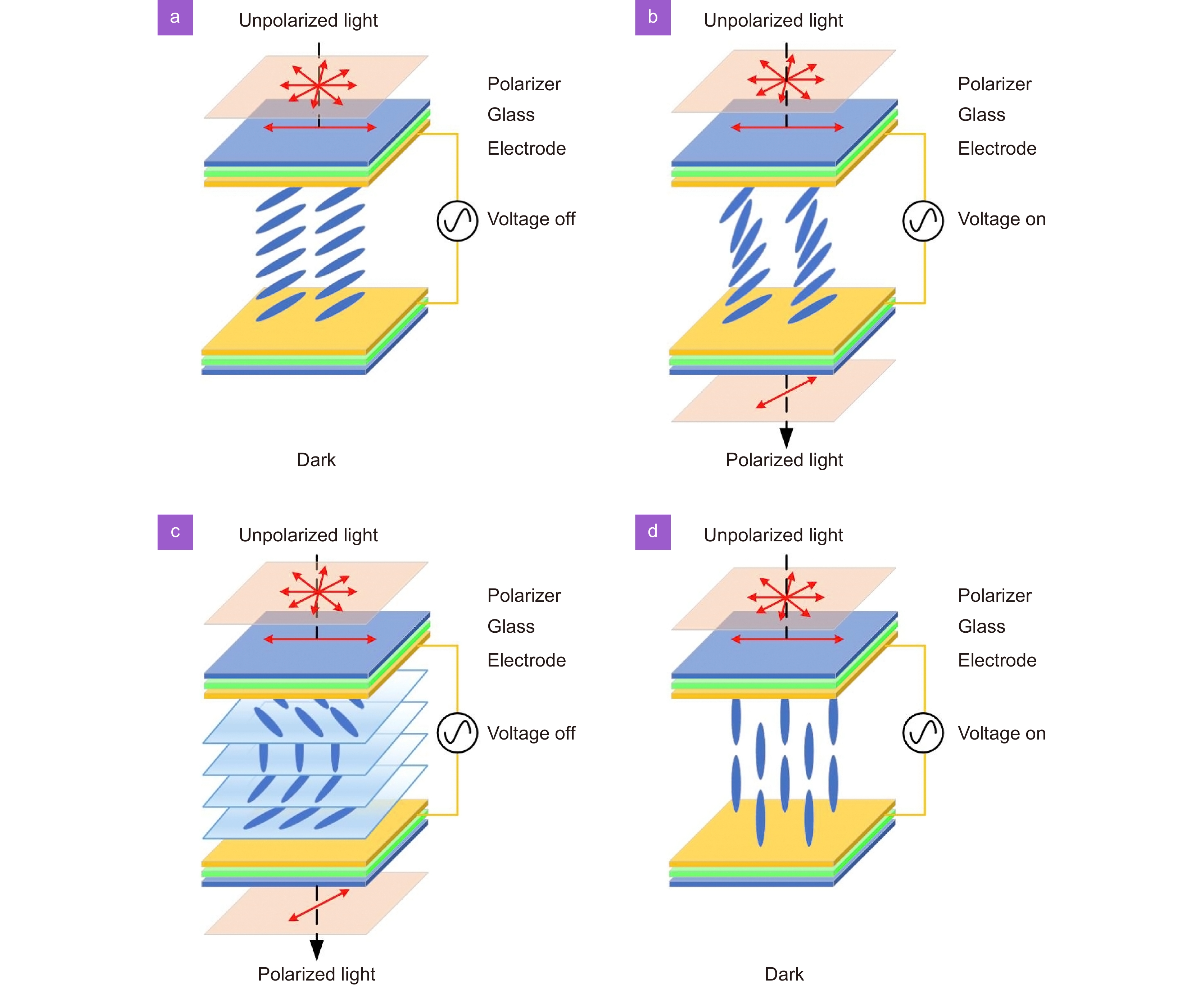 Opto-Electronic Science_3